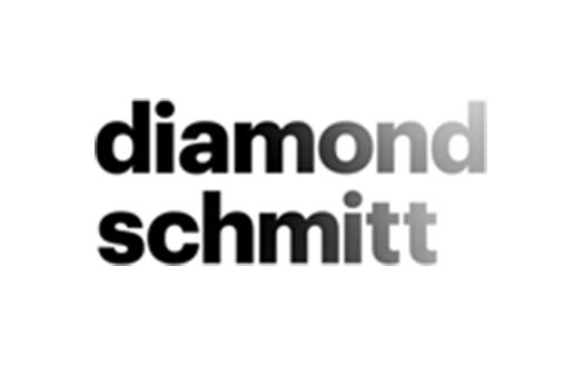 logo of DiamondSchmitt